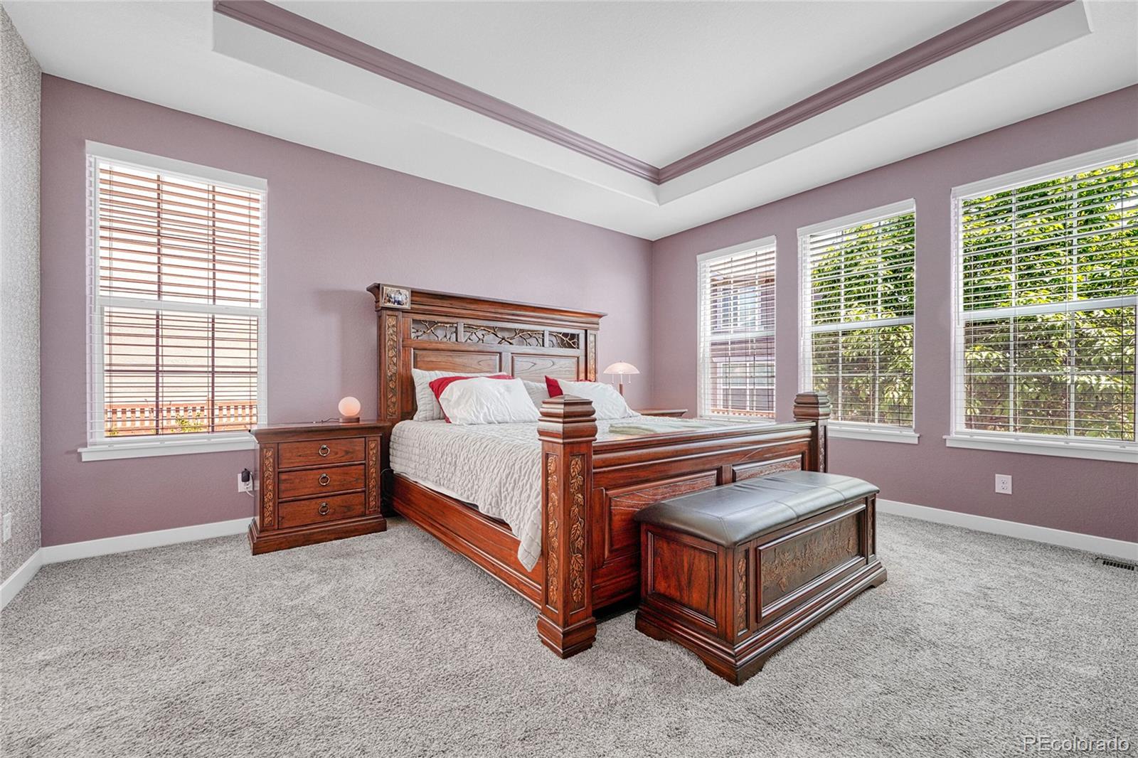 MLS Image #17 for 16043  azalea avenue,parker, Colorado