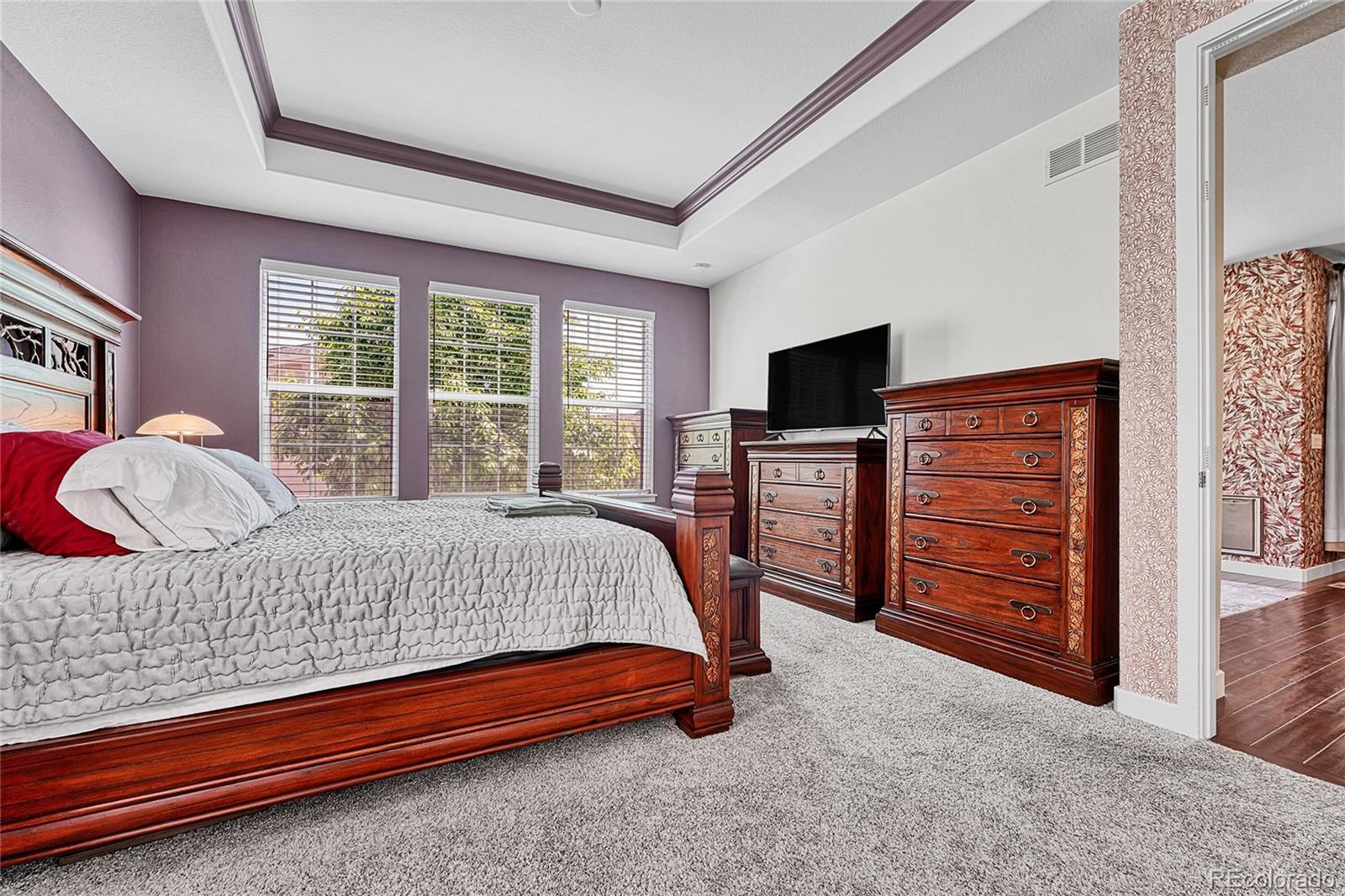 MLS Image #19 for 16043  azalea avenue,parker, Colorado