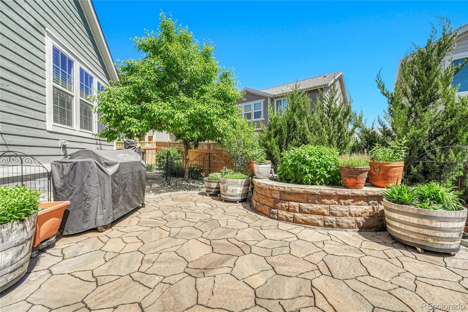 MLS Image #30 for 16043  azalea avenue,parker, Colorado