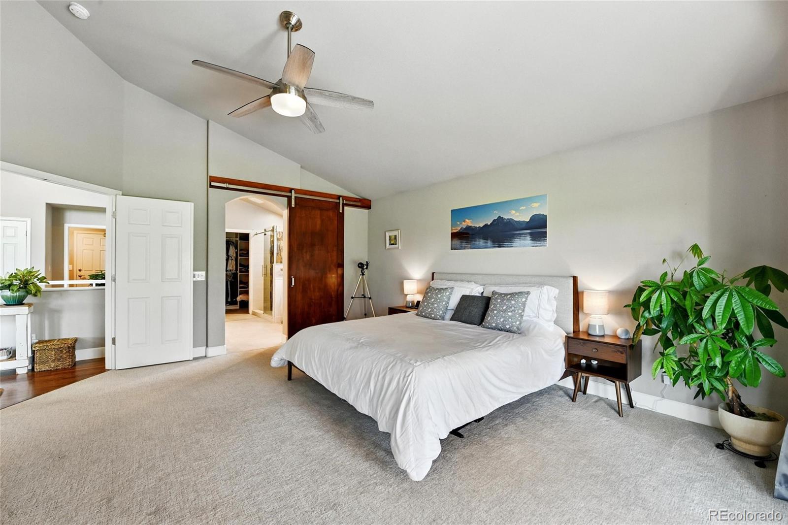 MLS Image #13 for 6776  salvia court,arvada, Colorado