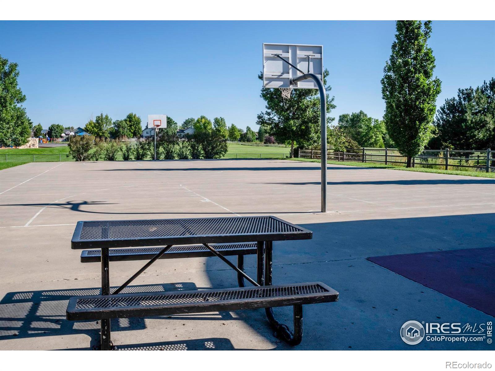 MLS Image #3 for 1309  red mountain drive,longmont, Colorado