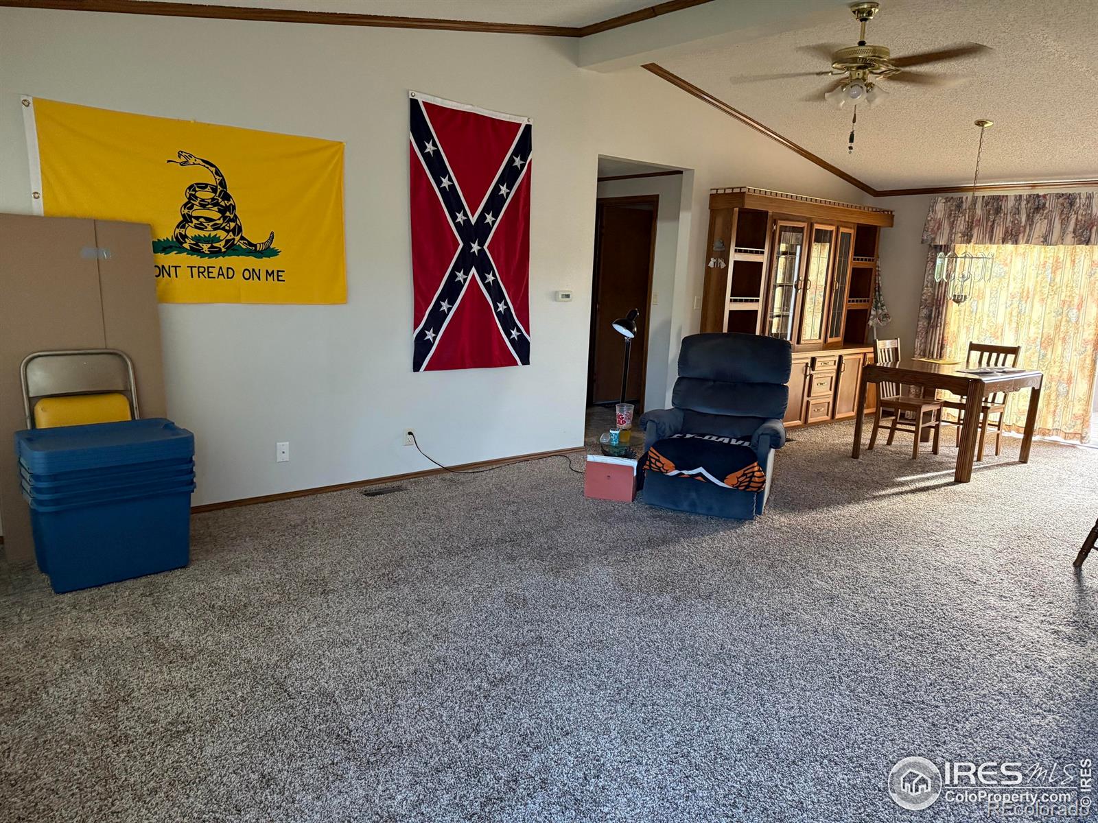 MLS Image #4 for 507  ellis avenue,wray, Colorado