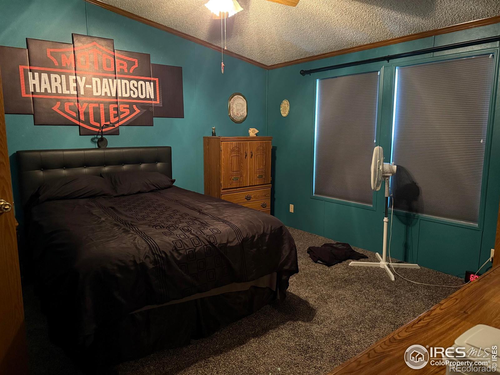 MLS Image #5 for 507  ellis avenue,wray, Colorado