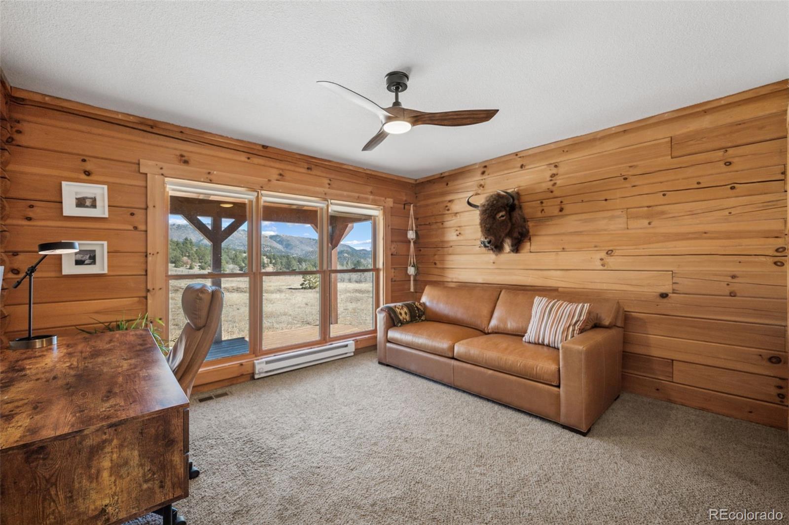 MLS Image #23 for 2555  new mill gulch road,canon city, Colorado