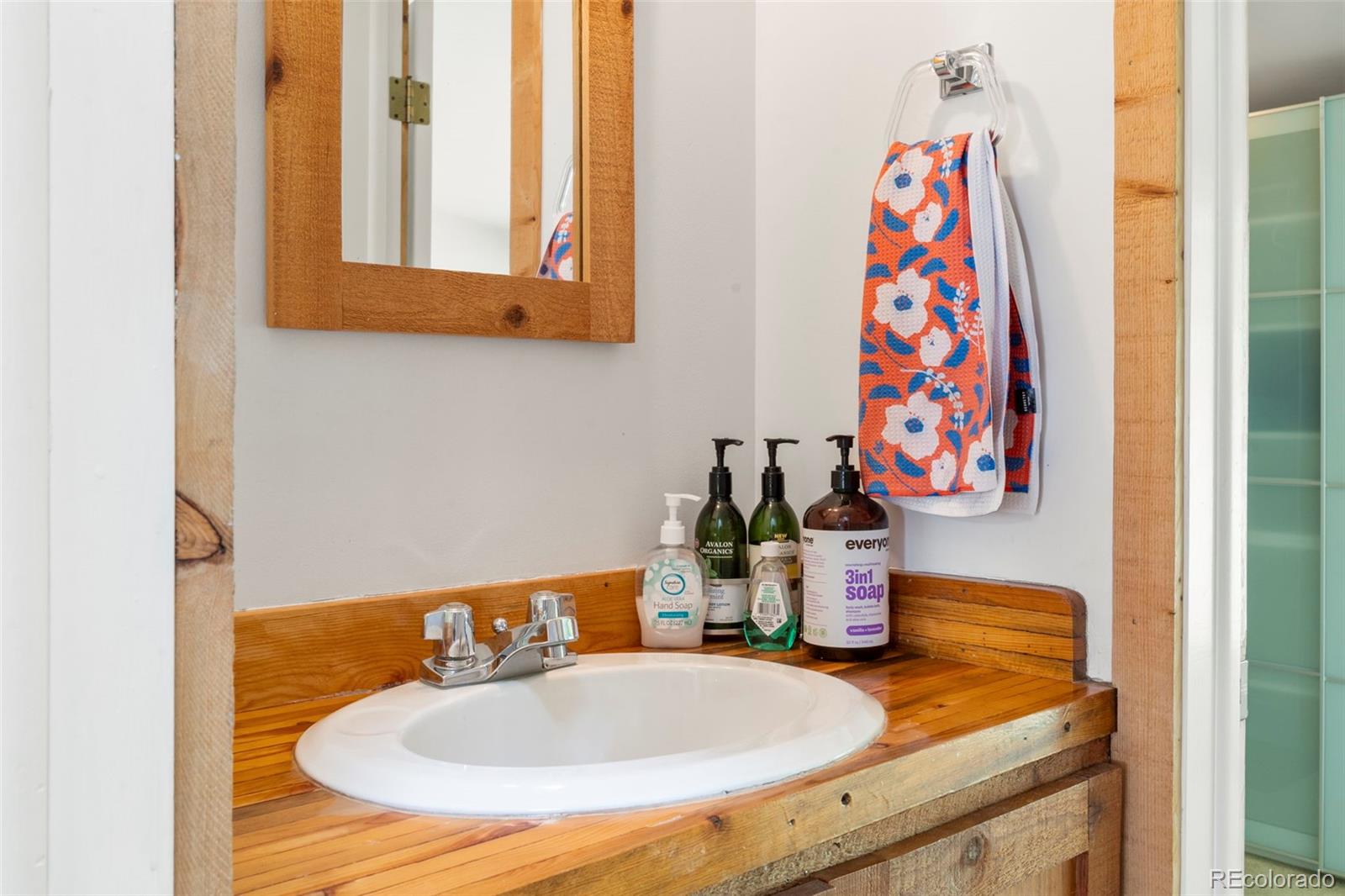 MLS Image #10 for 4923  snowberry lane,evergreen, Colorado