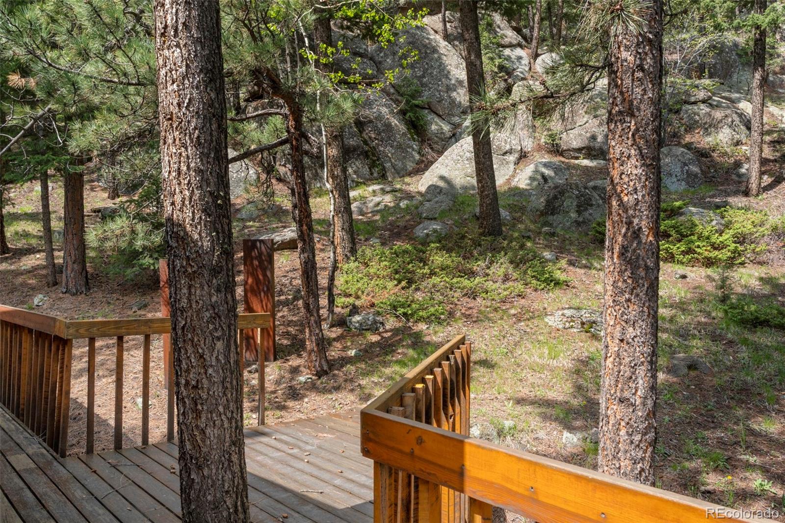 MLS Image #26 for 4923  snowberry lane,evergreen, Colorado
