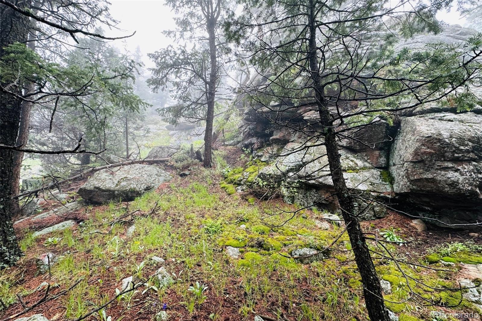MLS Image #43 for 4923  snowberry lane,evergreen, Colorado