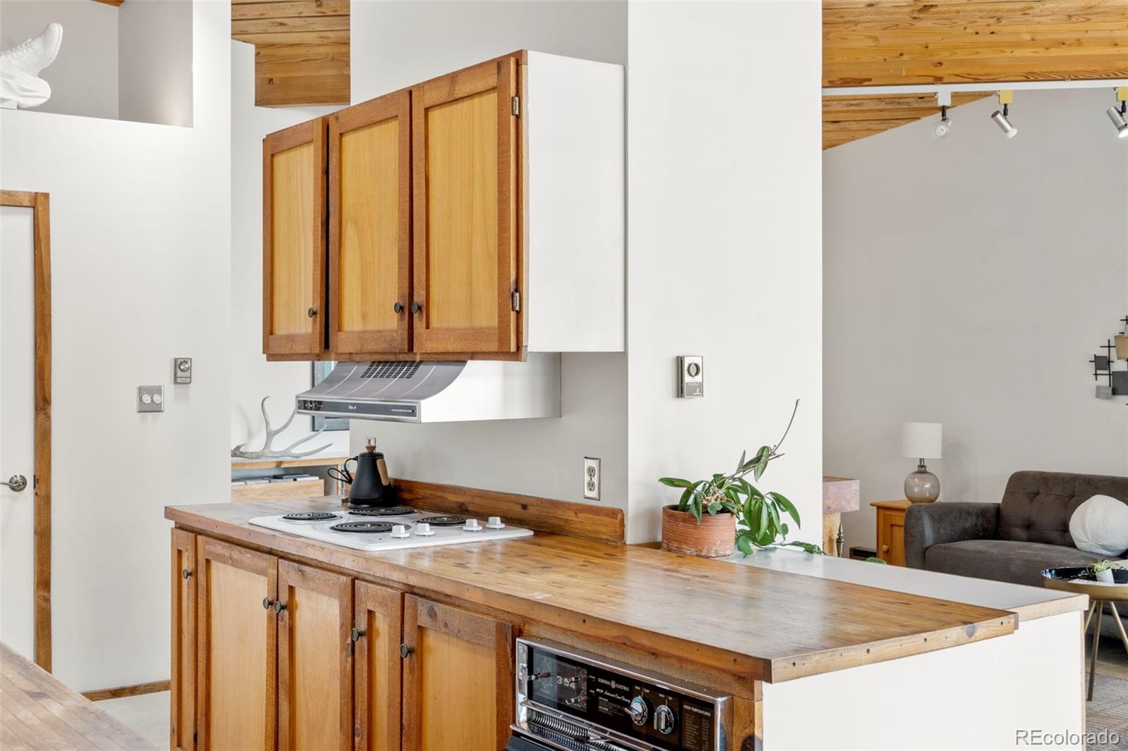 MLS Image #9 for 4923  snowberry lane,evergreen, Colorado