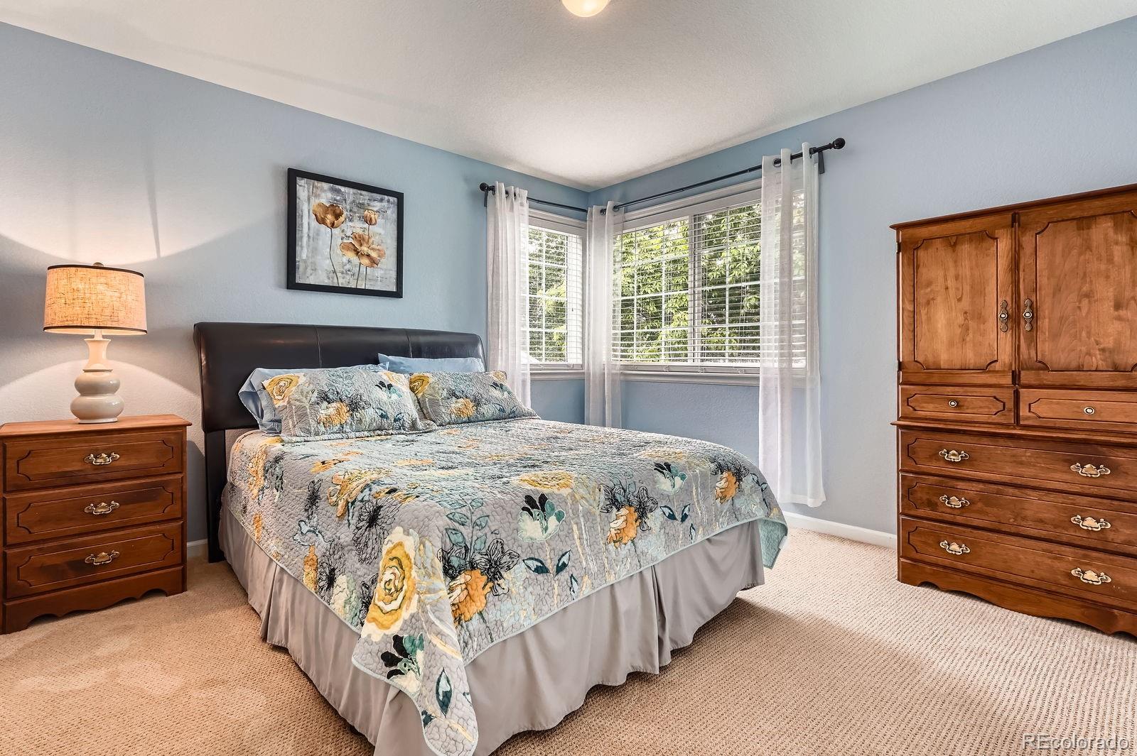 MLS Image #22 for 16341  maple rock court,parker, Colorado