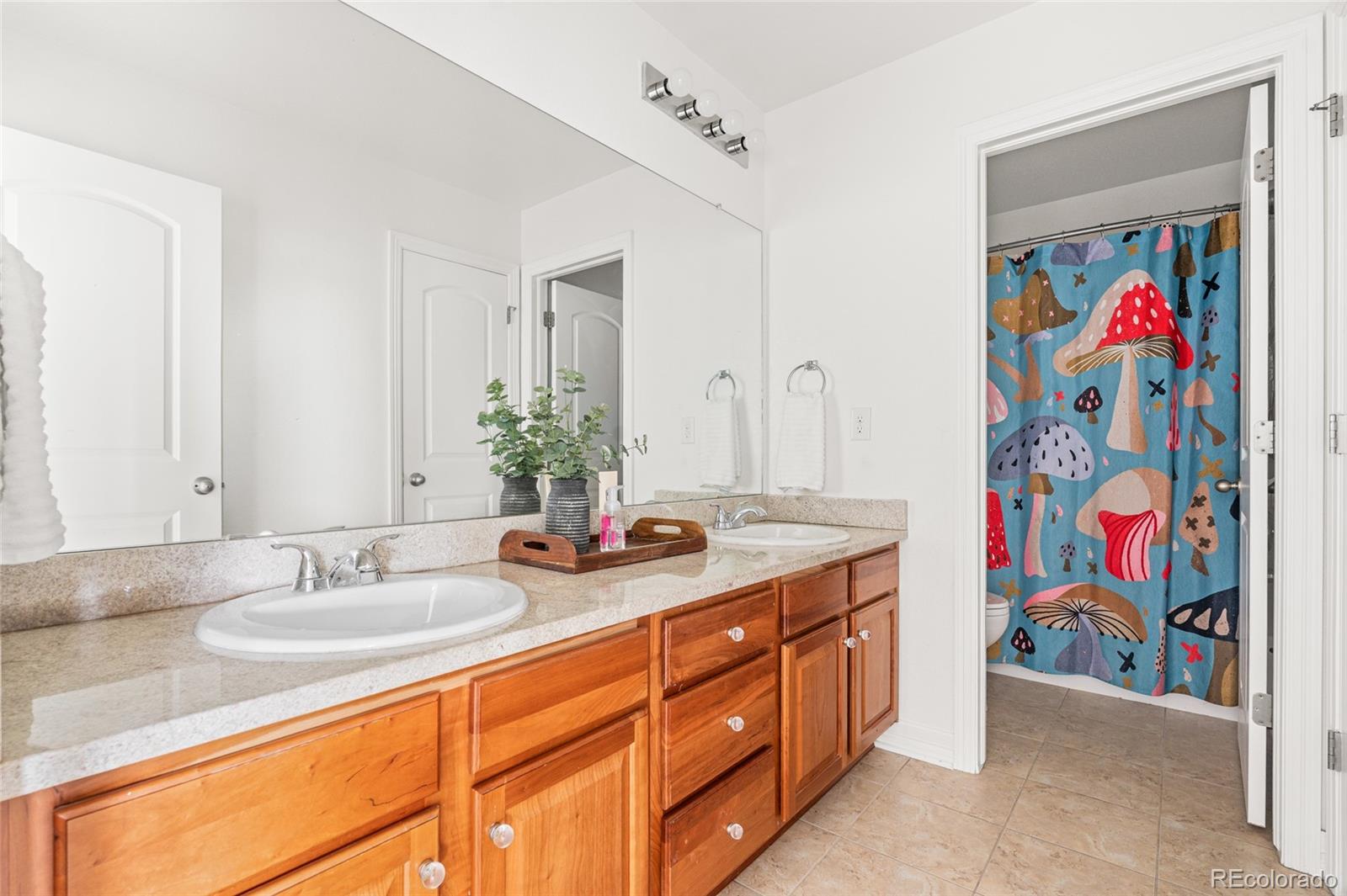 MLS Image #21 for 12032  triple crown drive,parker, Colorado