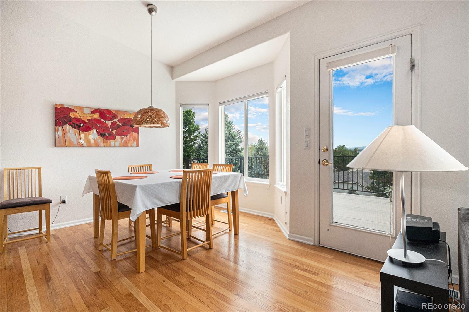 MLS Image #10 for 21062  hawthorne lane,parker, Colorado