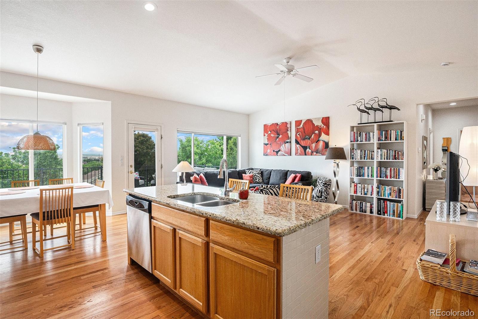 MLS Image #12 for 21062  hawthorne lane,parker, Colorado
