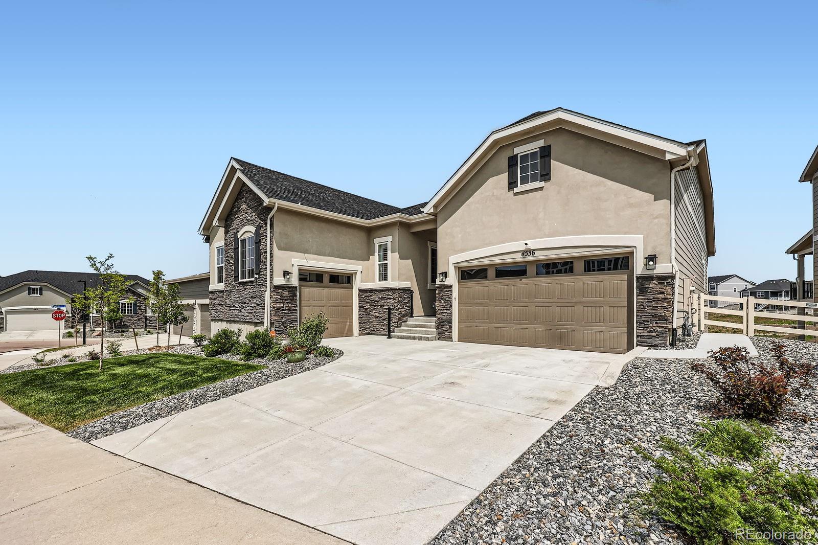 MLS Image #6 for 4536  shady path lane,castle rock, Colorado