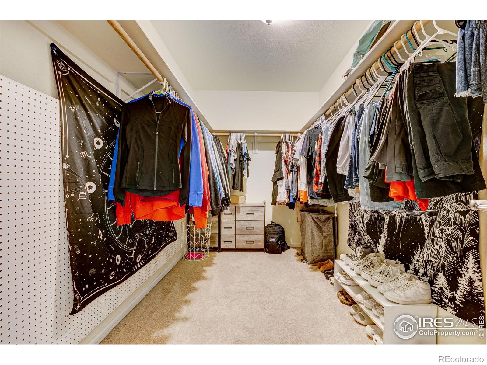 MLS Image #24 for 6208  treestead court,fort collins, Colorado