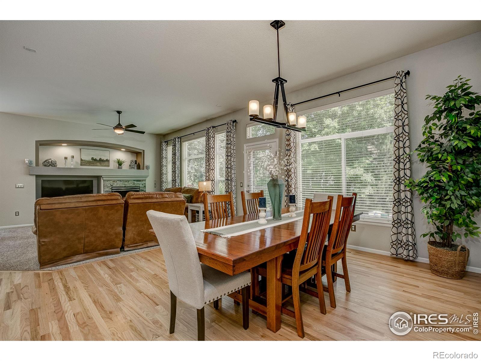 MLS Image #7 for 6208  treestead court,fort collins, Colorado