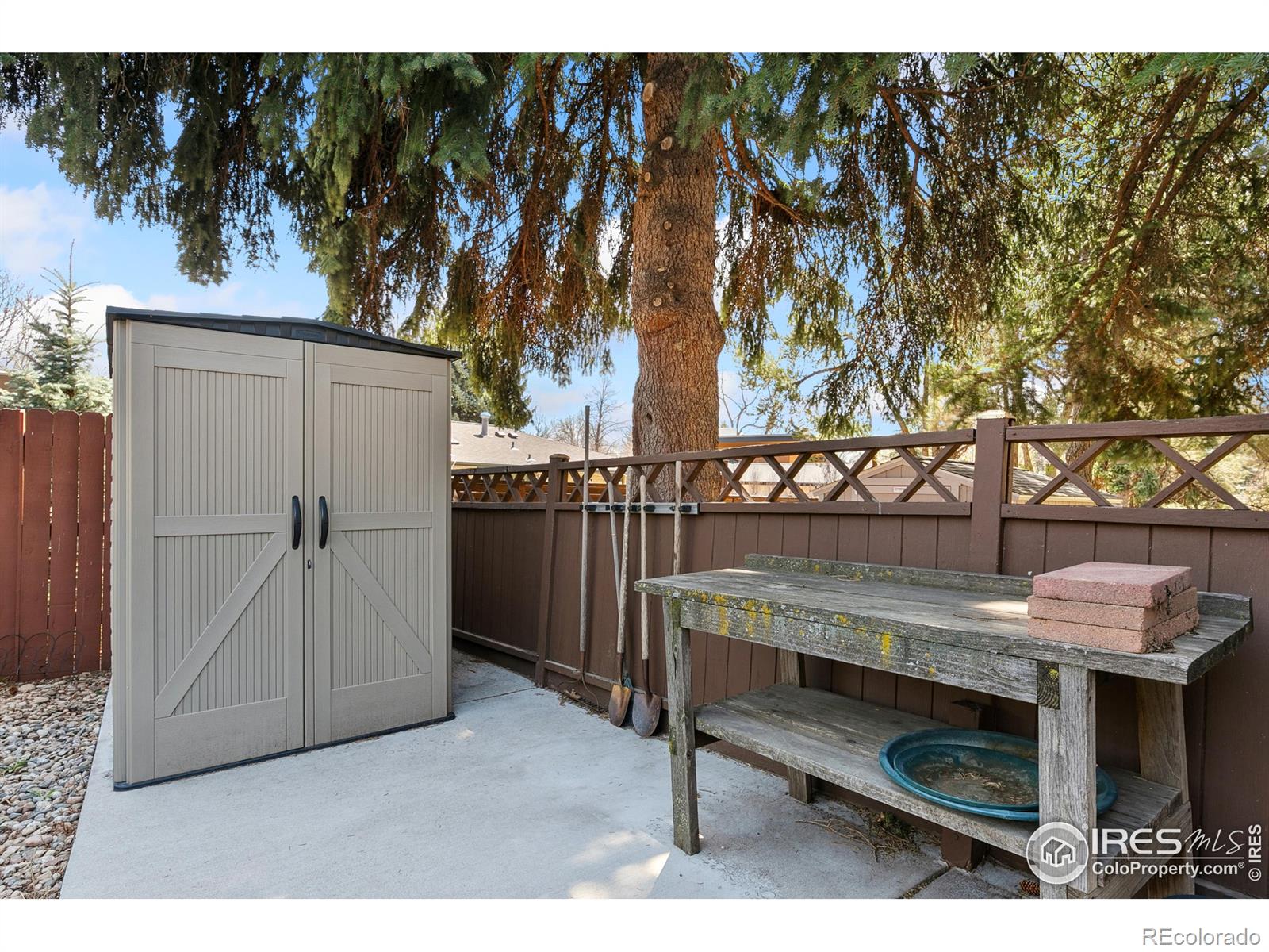 MLS Image #17 for 1204  newsom street,fort collins, Colorado