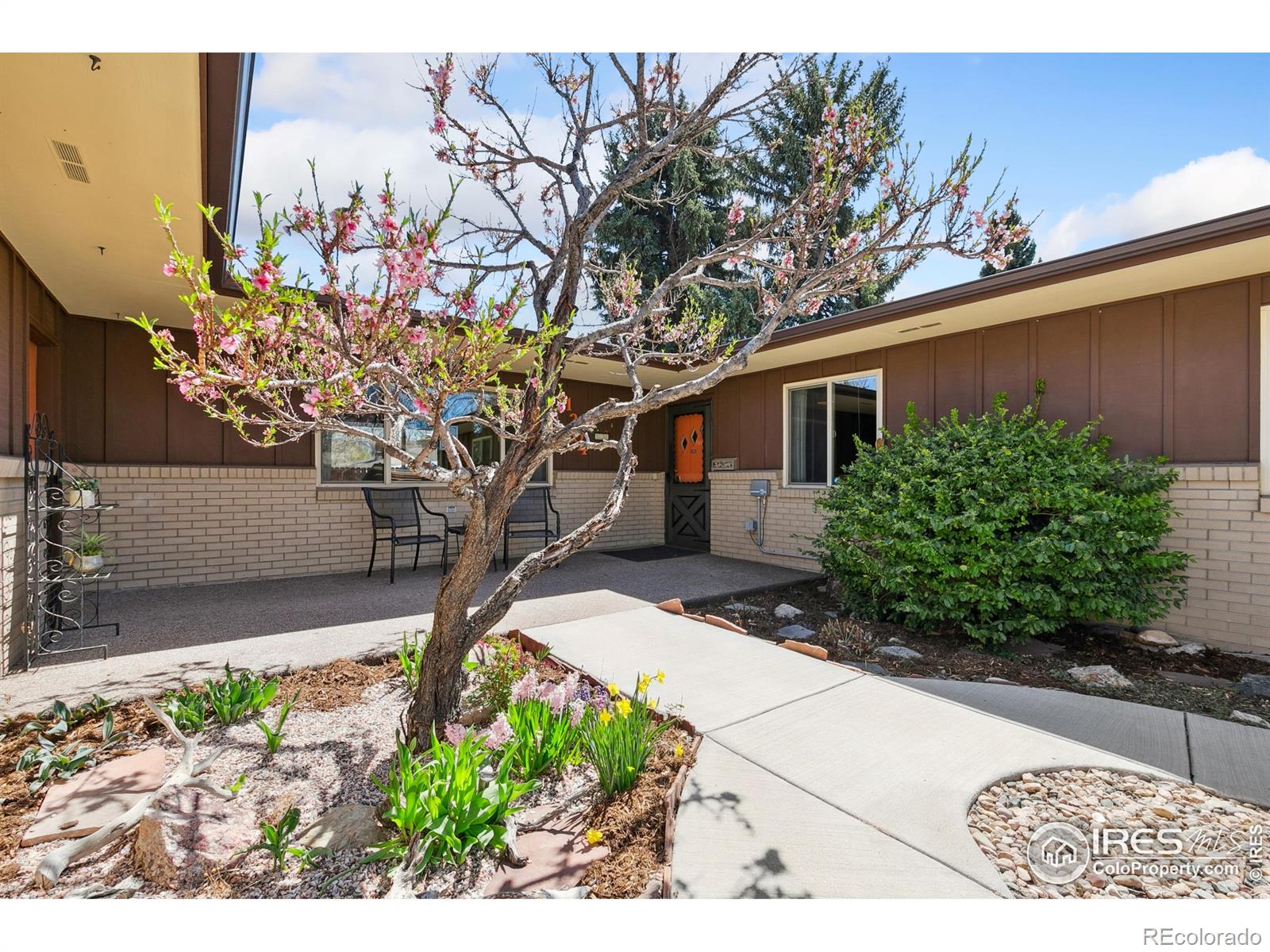 MLS Image #2 for 1204  newsom street,fort collins, Colorado