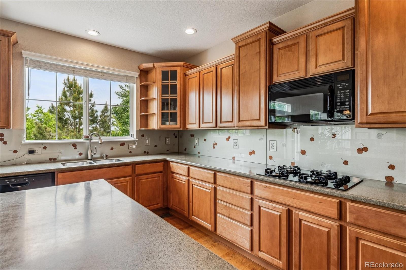 MLS Image #10 for 26155 e euclid drive,aurora, Colorado