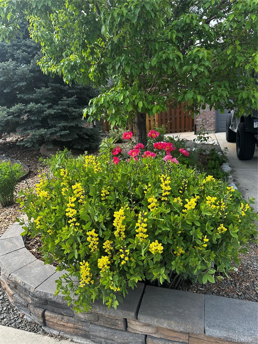 MLS Image #35 for 26155 e euclid drive,aurora, Colorado