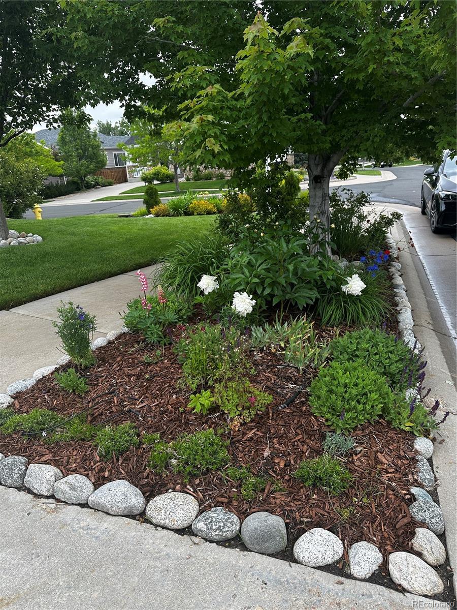 MLS Image #38 for 26155 e euclid drive,aurora, Colorado