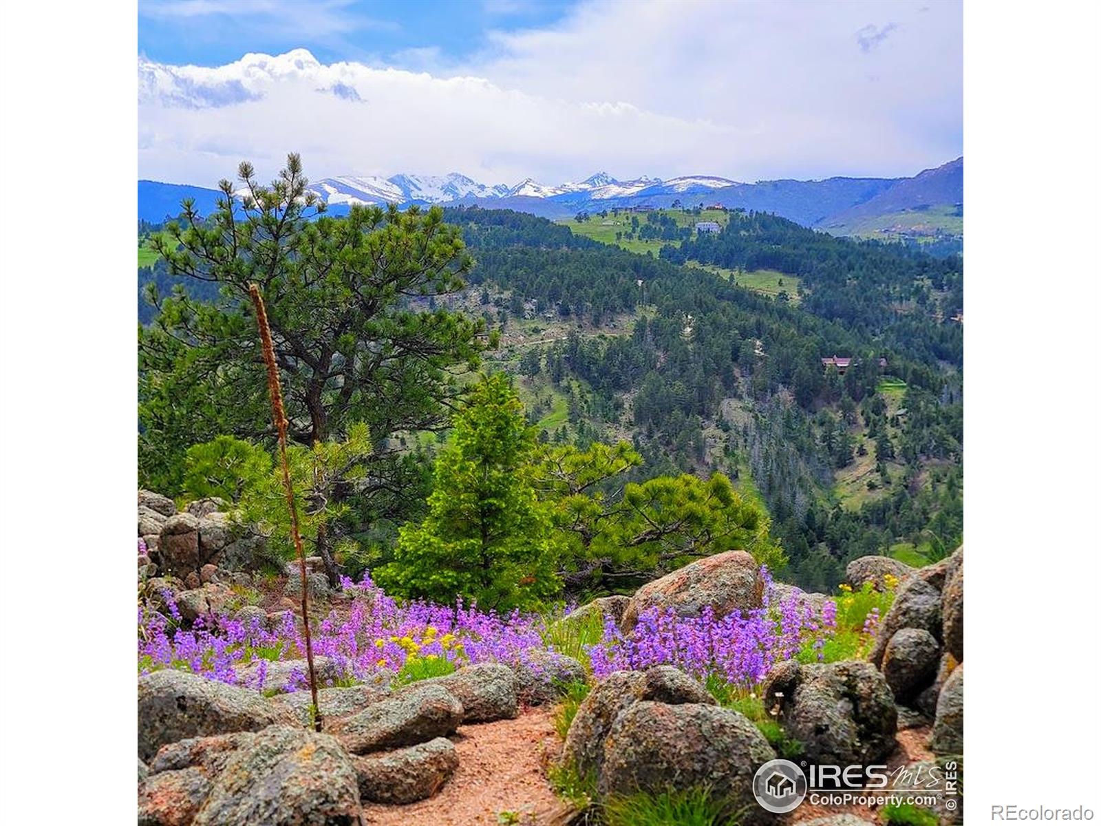 MLS Image #39 for 409  wild horse circle,boulder, Colorado