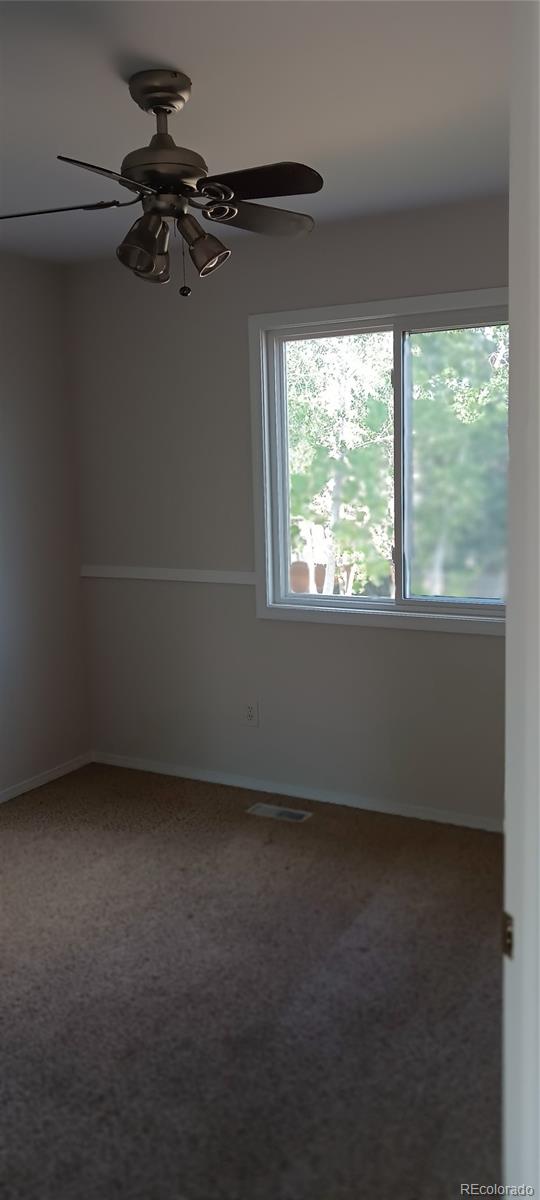 MLS Image #14 for 3690  amelia island street,colorado springs, Colorado