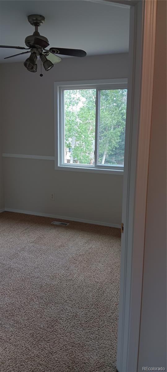 MLS Image #20 for 3690  amelia island street,colorado springs, Colorado