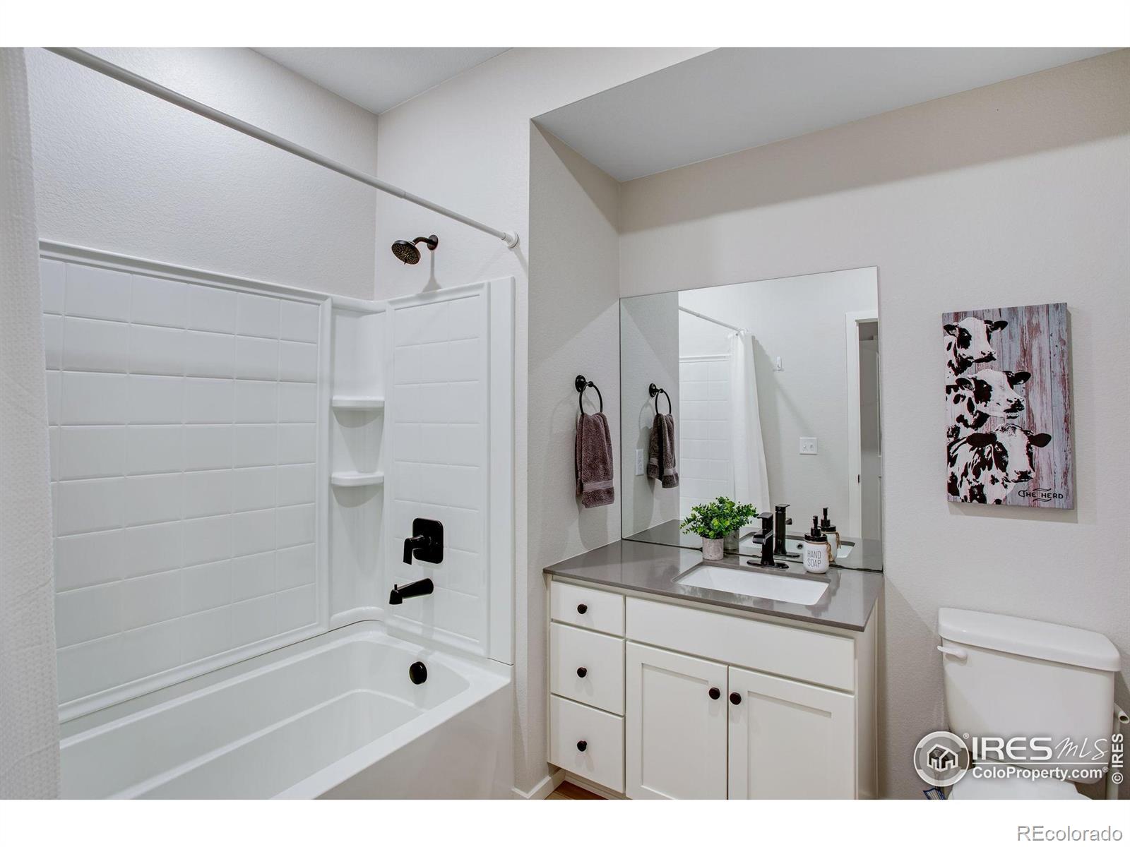 MLS Image #32 for 2086  autumn moon drive,windsor, Colorado