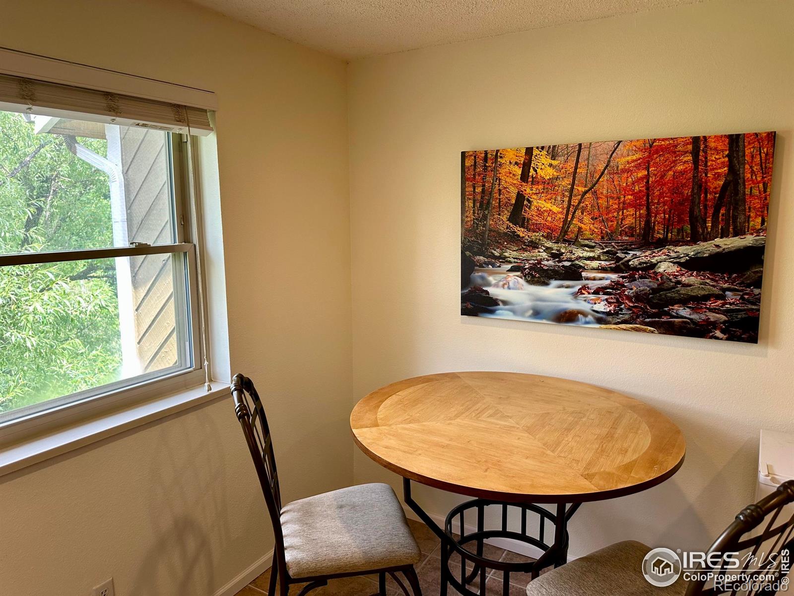MLS Image #10 for 2855  shadow creek drive,boulder, Colorado