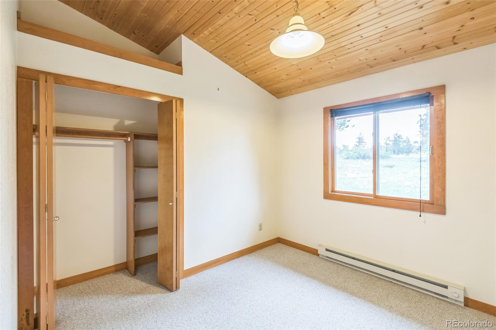 MLS Image #17 for 195  manhead meadow court,livermore, Colorado