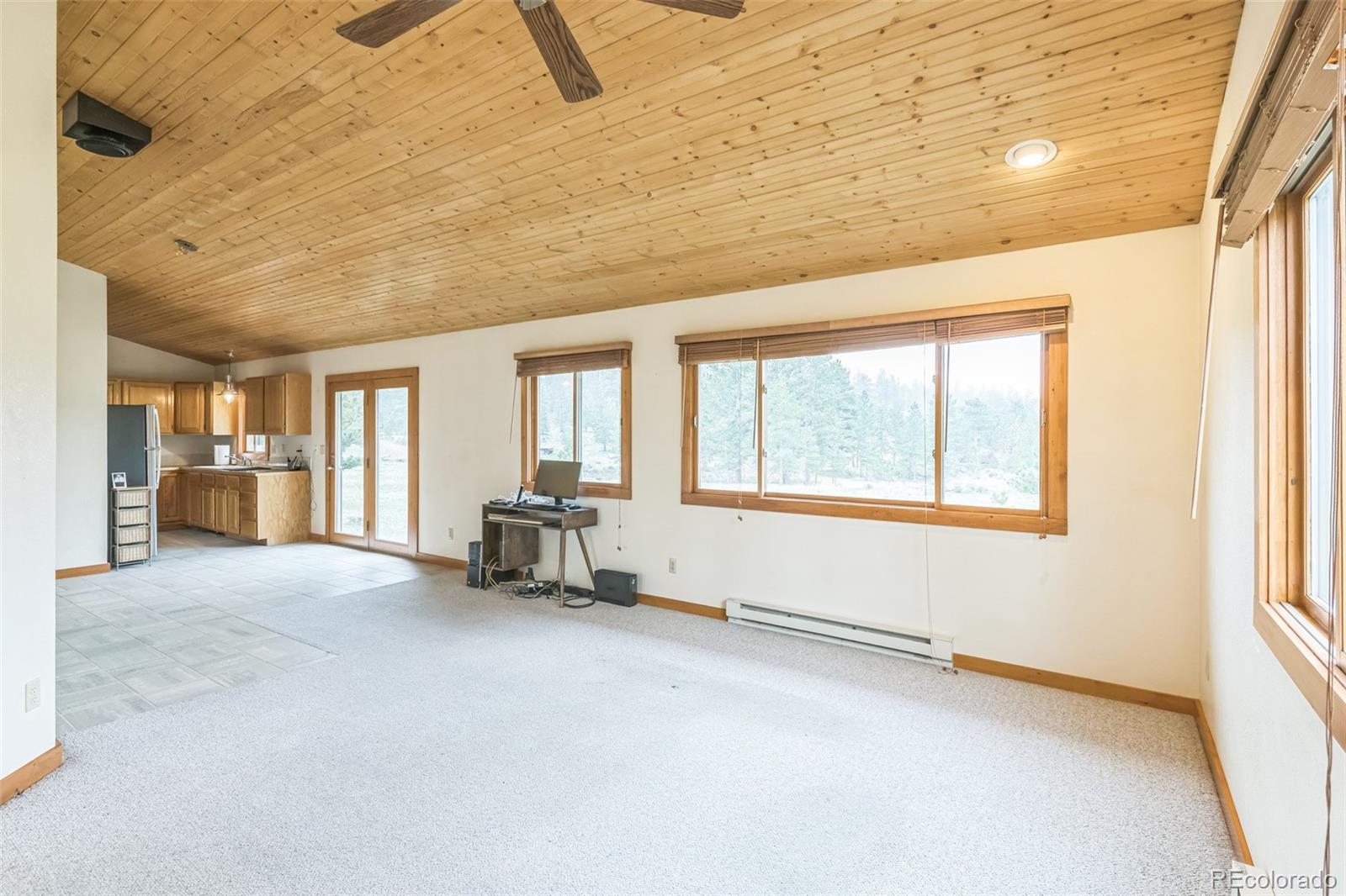 MLS Image #4 for 195  manhead meadow court,livermore, Colorado