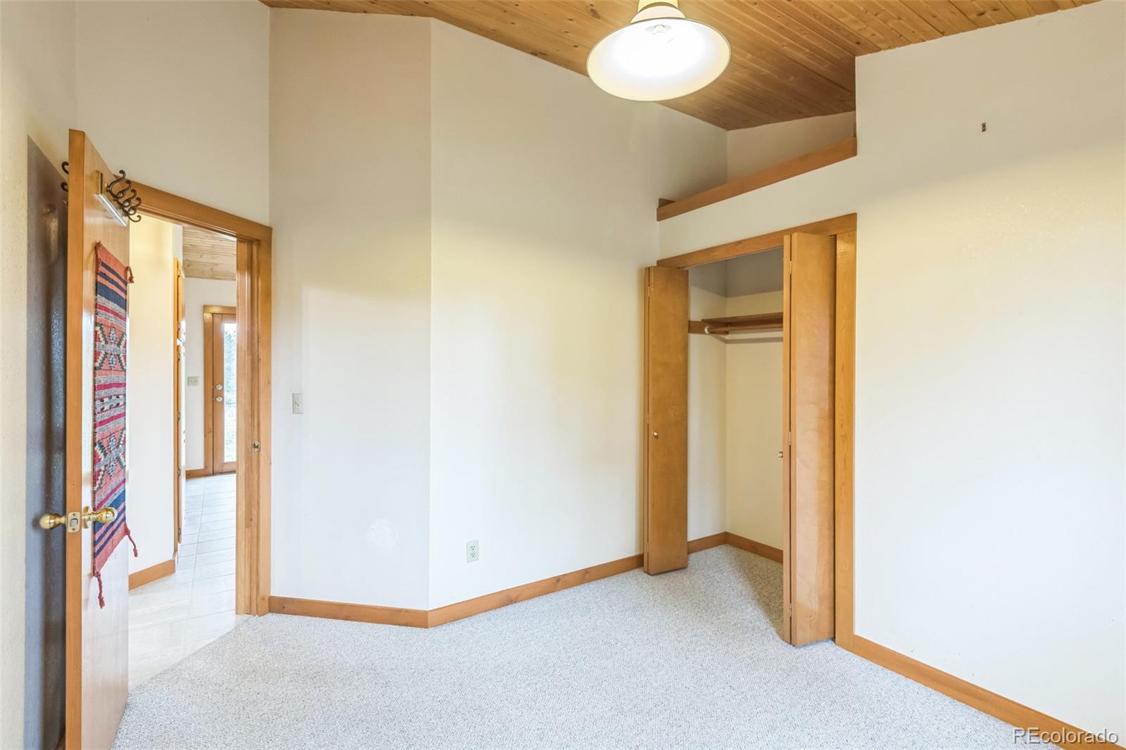 MLS Image #6 for 195  manhead meadow court,livermore, Colorado