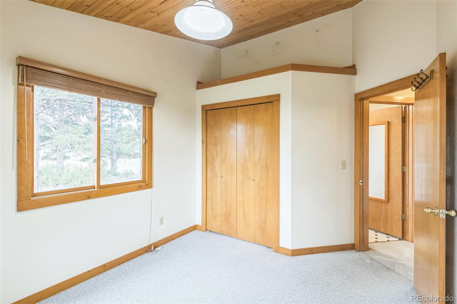 MLS Image #7 for 195  manhead meadow court,livermore, Colorado
