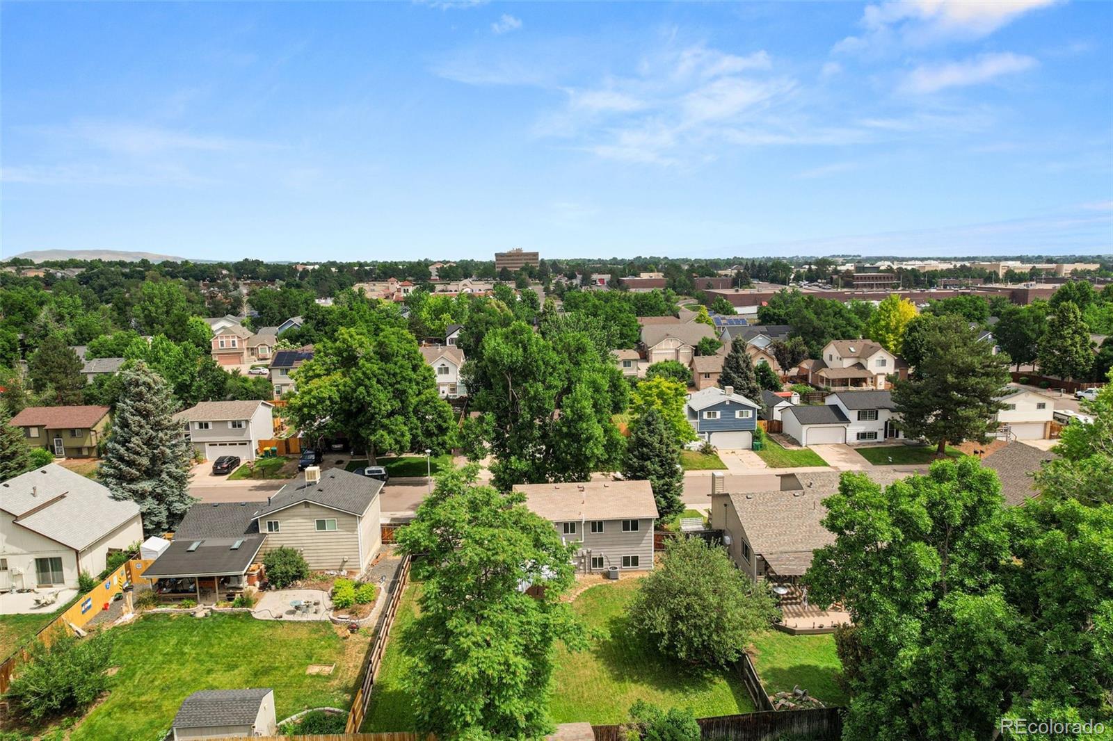 MLS Image #4 for 9196 w maplewood avenue,littleton, Colorado