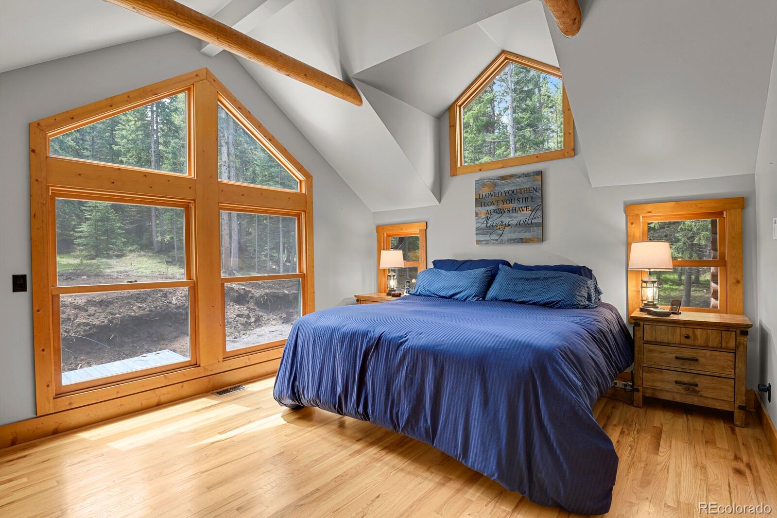 MLS Image #18 for 8905  carol lane,conifer, Colorado