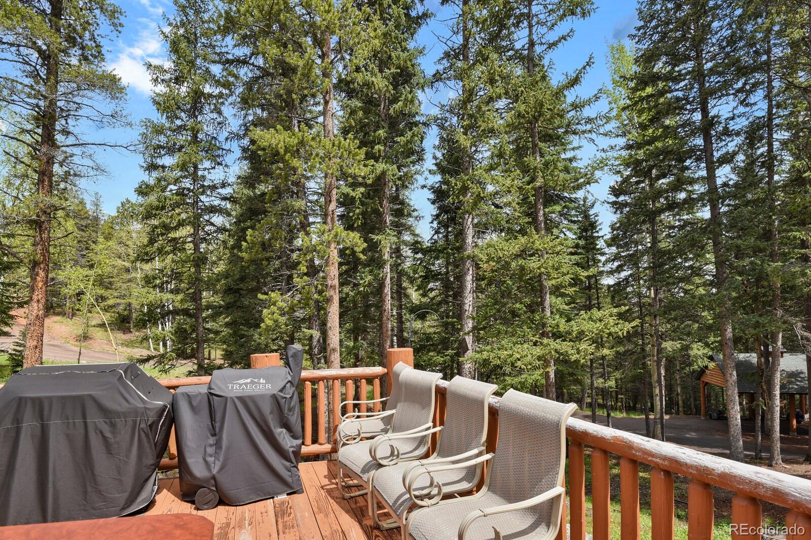MLS Image #24 for 8905  carol lane,conifer, Colorado