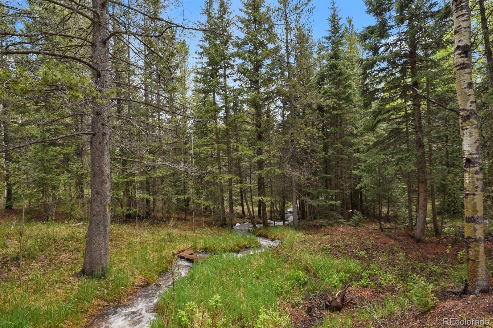 MLS Image #32 for 8905  carol lane,conifer, Colorado