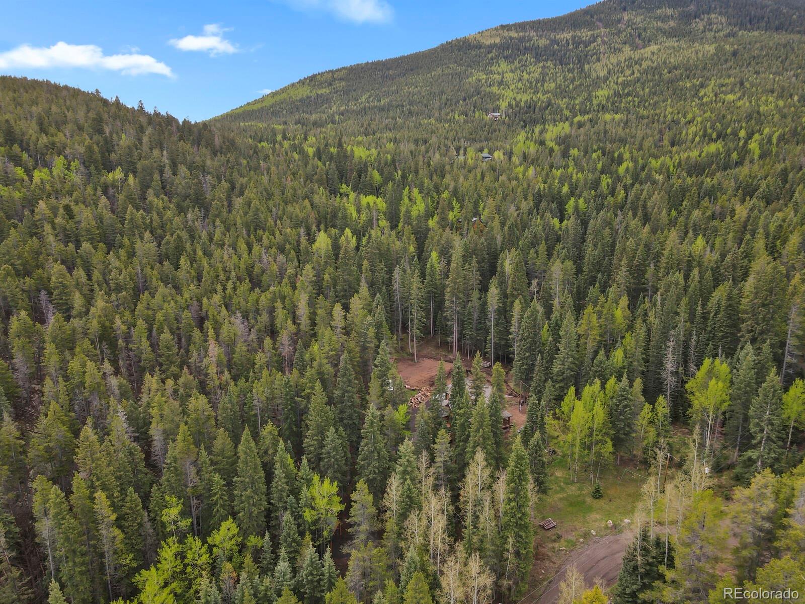 MLS Image #41 for 8905  carol lane,conifer, Colorado