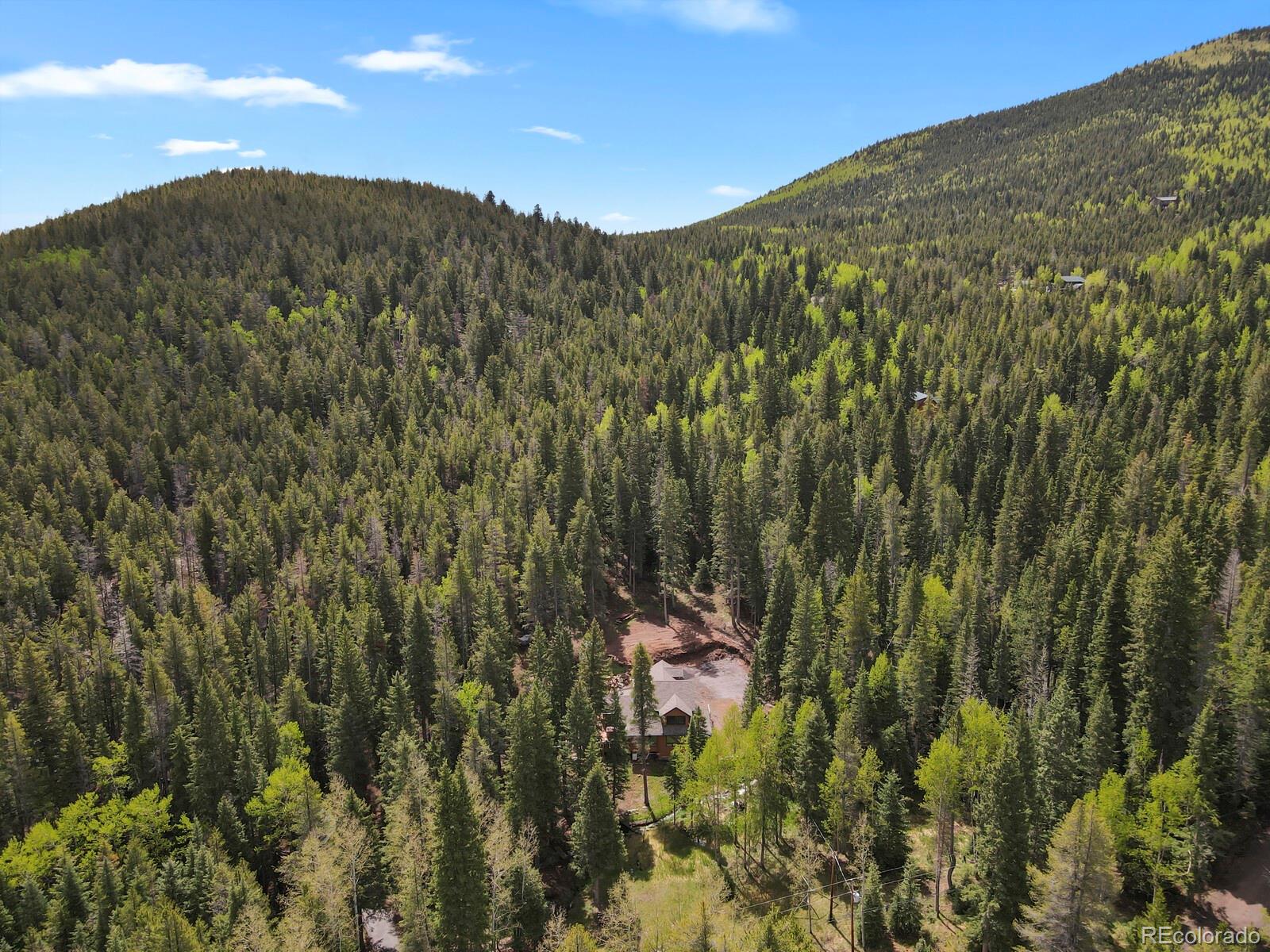 MLS Image #47 for 8905  carol lane,conifer, Colorado