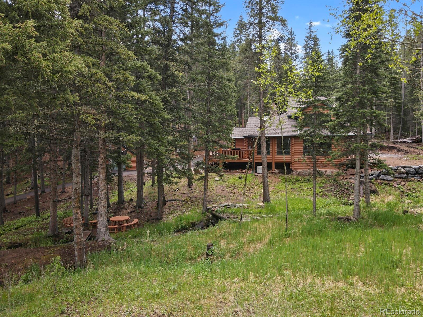 MLS Image #48 for 8905  carol lane,conifer, Colorado