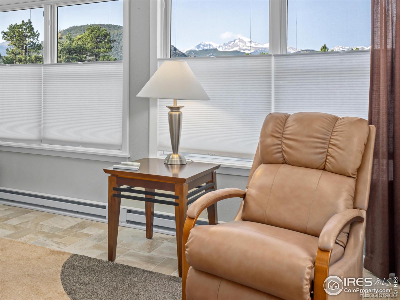 MLS Image #15 for 625  steamer drive,estes park, Colorado
