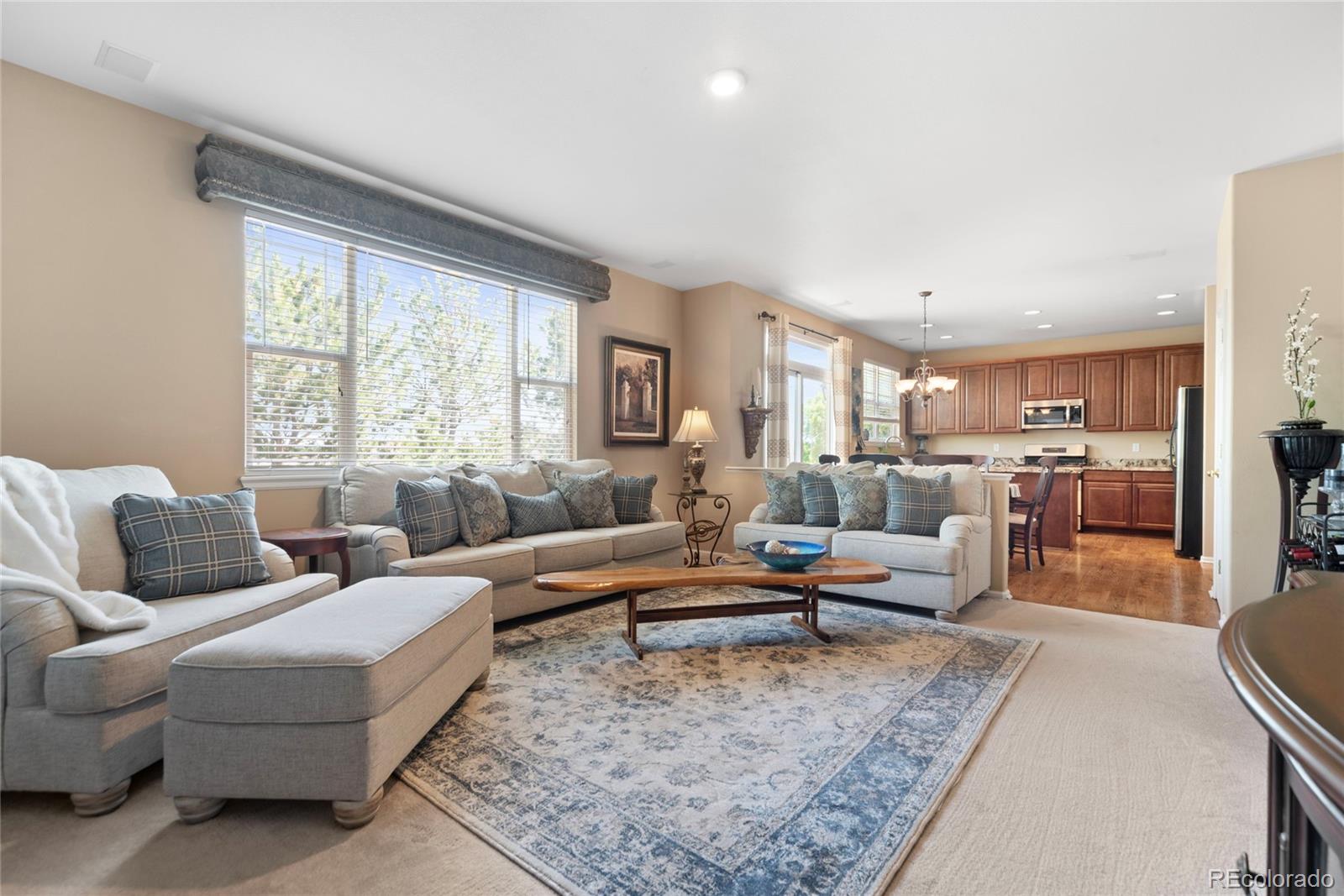 MLS Image #17 for 9290  melborne court,parker, Colorado