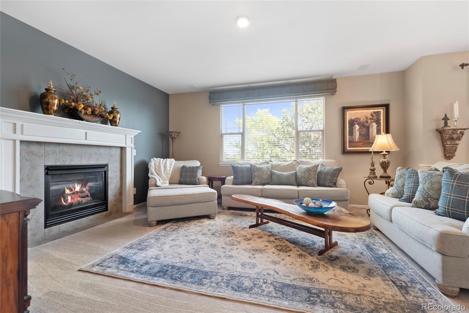 MLS Image #18 for 9290  melborne court,parker, Colorado