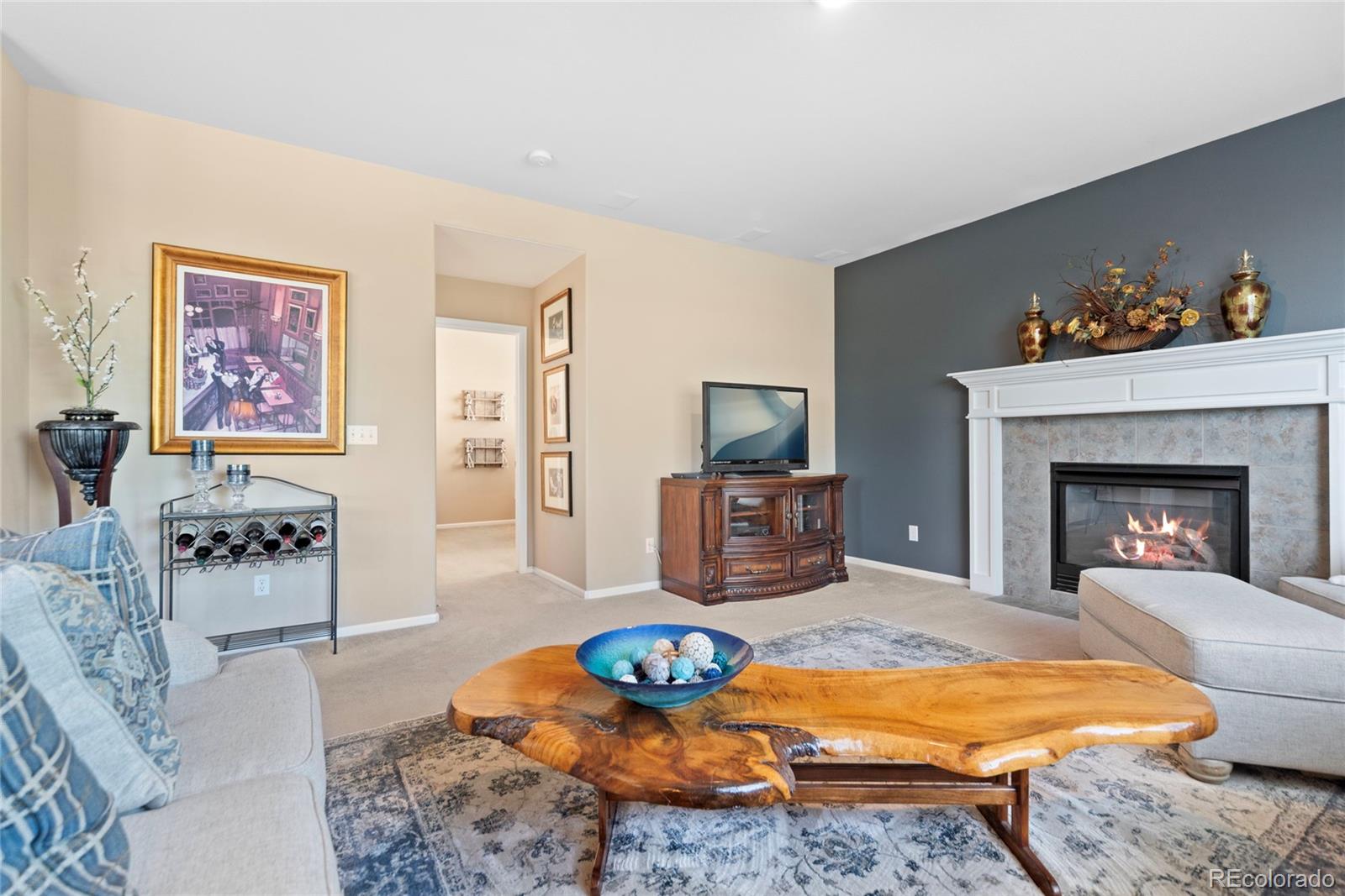 MLS Image #19 for 9290  melborne court,parker, Colorado