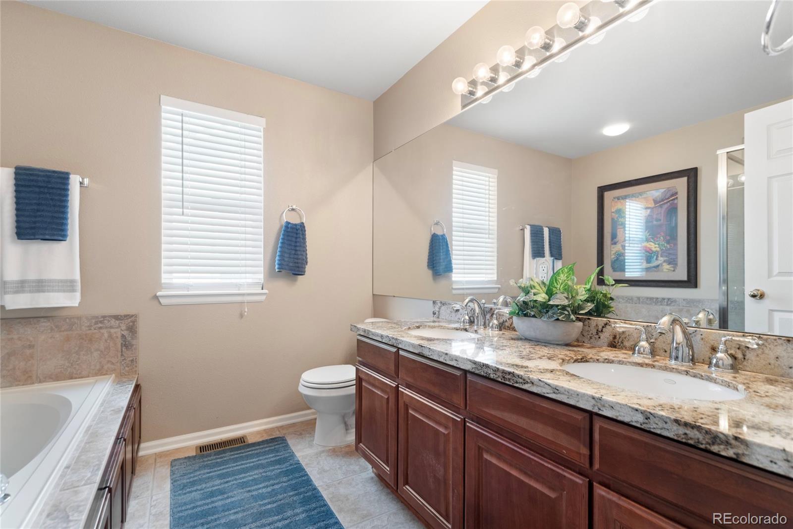 MLS Image #28 for 9290  melborne court,parker, Colorado