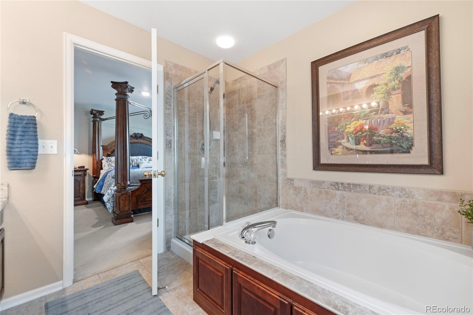 MLS Image #29 for 9290  melborne court,parker, Colorado