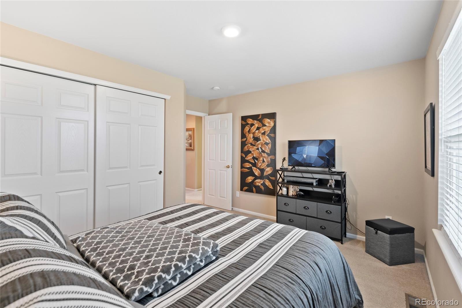 MLS Image #31 for 9290  melborne court,parker, Colorado