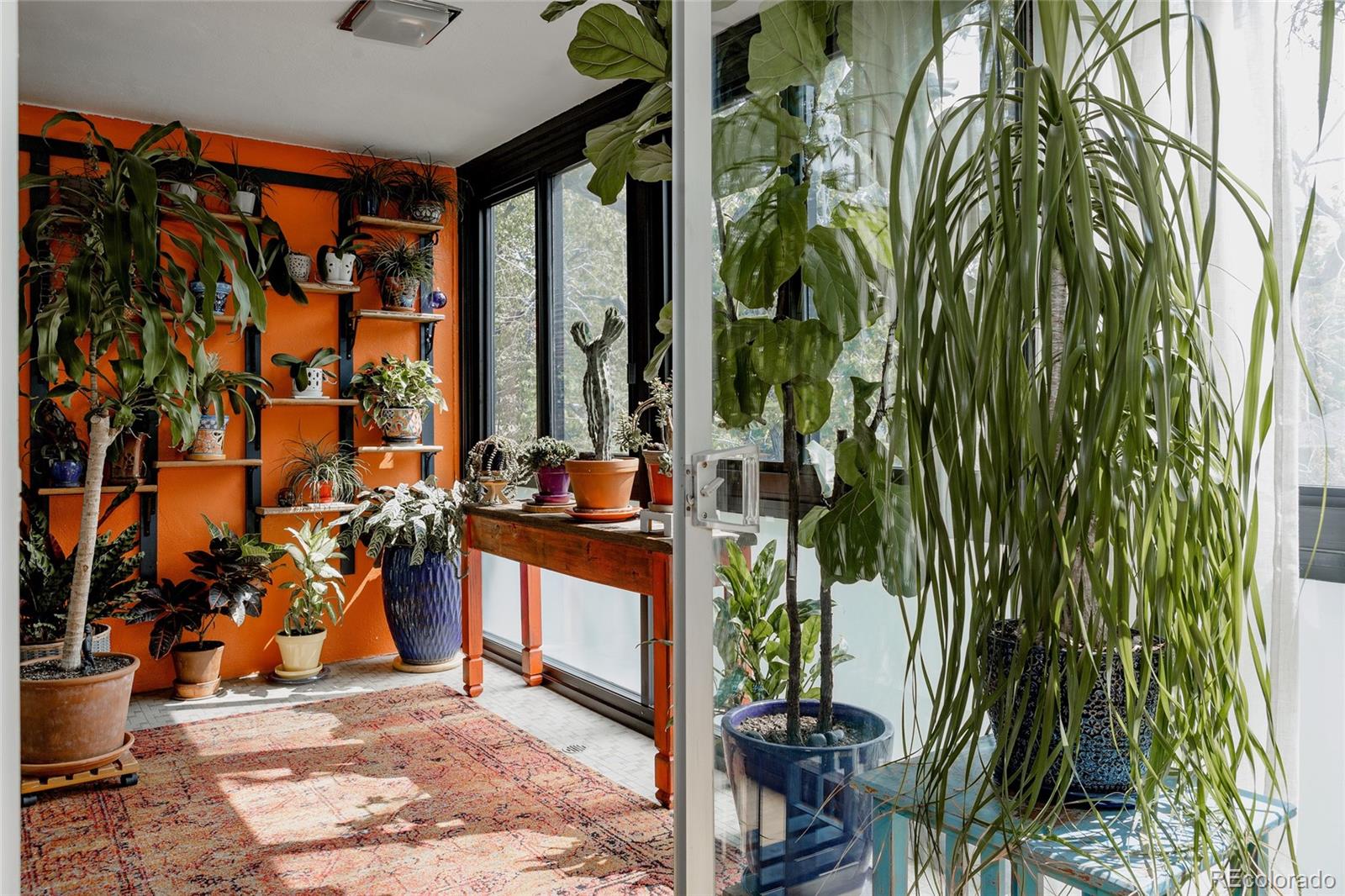 MLS Image #15 for 1050 n corona street,denver, Colorado