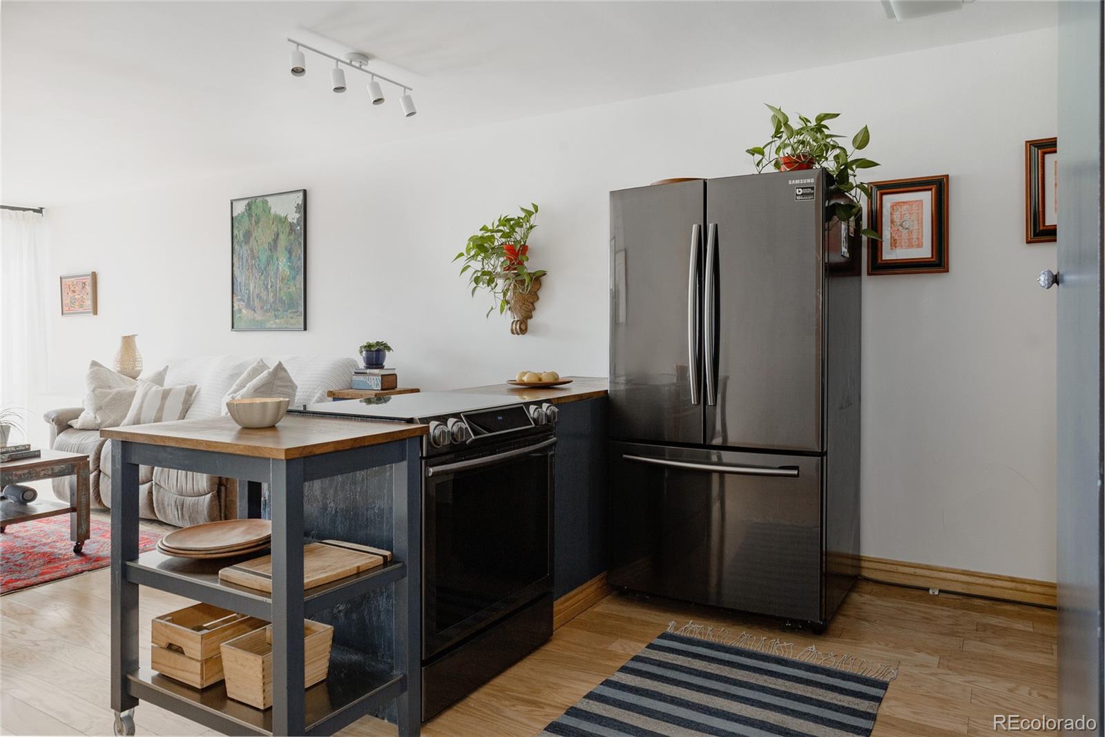 MLS Image #3 for 1050 n corona street,denver, Colorado