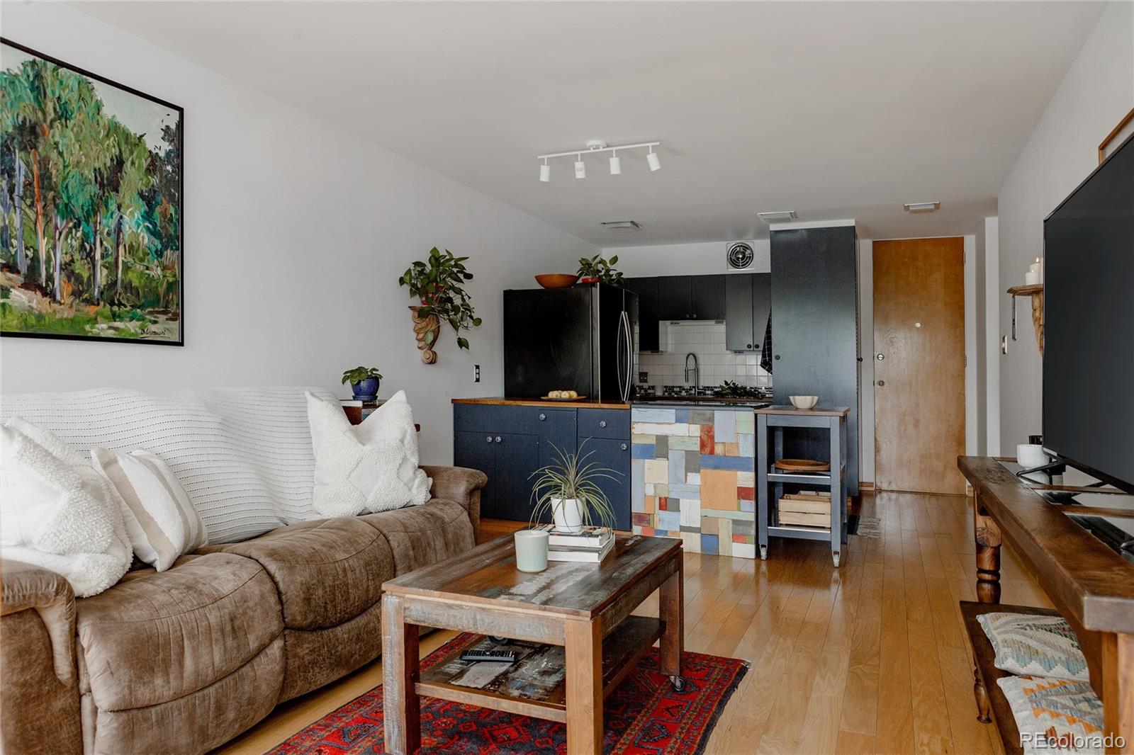 MLS Image #9 for 1050 n corona street,denver, Colorado